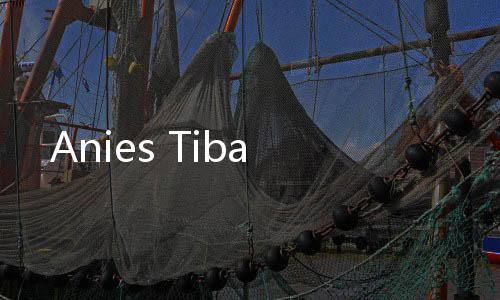 Anies Tiba