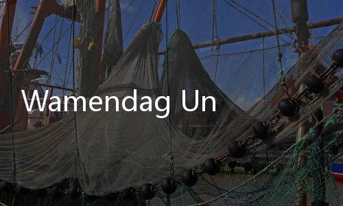 Wamendag Ungkap Sikap RI Hadapi Tantangan Perdagangan Global
